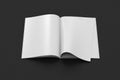 Blank magazine pages with bent glossy pape Royalty Free Stock Photo