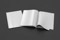 Blank magazine pages with bent glossy pape Royalty Free Stock Photo