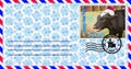 Blank mailing envelope with a stamp depicting a bull wearing a Santa Claus hat. Content for the designer