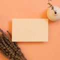 Blank memo pad, empty paper with lavender dry flowers and eucalyptus flowerpot on coral background Royalty Free Stock Photo