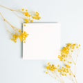 Blank memo paper with yellow baby`s breath, gypsophila dry flowers on light blue background Royalty Free Stock Photo