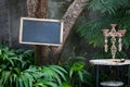 Blank menu Board on the tree in the garden restaurant or cafe