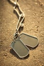 Dog tags background Royalty Free Stock Photo