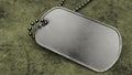 Blank Military Dogtag on Green Fabric