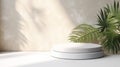 Blank minimal white counter podium, soft beautiful dappled sunlight, tropical palm foliage leaf shadow on wall for luxury hygiene