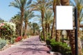 Blank mock billboard on park. alley of palms on clear sky background