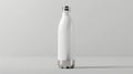 Blank mockup of a doublewalled vacuum insulated water bottle Royalty Free Stock Photo