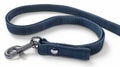 Blank mockup of a durable and weatherresistant pet leash with a comfortable handle and a strong metal clip Royalty Free Stock Photo