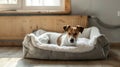 Blank mockup of a pet bed with a builtin heating element for cold winter nights.