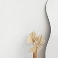 Blank neutral white wall texture with dried palm leaves in vase and curvy mirror. Aesthetic minimalist business branding