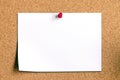 Blank note paper on cork board Royalty Free Stock Photo