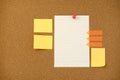 Blank note paper on cork board wall. Noticeboard to organize life and work concept Royalty Free Stock Photo
