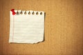 Blank note paper with pin on cork board Royalty Free Stock Photo