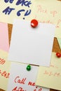 Blank note pinned on cork board Royalty Free Stock Photo