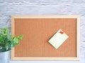 The blank note pinned on a cork board with a small tree in the front grey wall Royalty Free Stock Photo