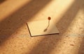 Blank note pinned to corkboard. Warm light casts shadows, highlighting texture. Plenty of copy space for messages. Minimalist Royalty Free Stock Photo