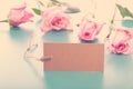 Blank note tag with pink roses Royalty Free Stock Photo