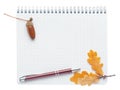 Blank notebook and ballpoint pen with oak leaves and acorns isolated on white background. Royalty Free Stock Photo