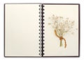 open Notebook compose with flower with clipping path