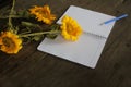 Blank notebook with flowers. Messy wooden table with sunflower, open spiral notebook and a pen.