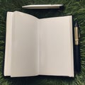 A blank notebook open on a grassy field with customizable pens scattered around as mockups1