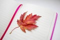 Blank Notebook Page, Autumn Wedge Leaf, Autumn landscape. Diary with Autumn Leaf Royalty Free Stock Photo