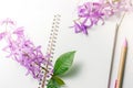 Blank notebook with pen and purple flowers on white wooden background Royalty Free Stock Photo