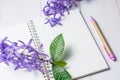 Blank notebook with pen and purple flowers on white wooden background Royalty Free Stock Photo