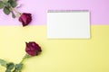 Blank notebook on pink and yellow paper with roses, flat lay, Royalty Free Stock Photo