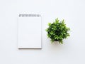 Blank notebook and plant isolated on white background Royalty Free Stock Photo