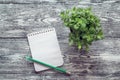 Blank notebook on a spiral with pencil and potted plant on a gray desktop. View from above.