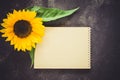 Blank notebook and sunflower. Autumn background for your notifications. Fall season Royalty Free Stock Photo