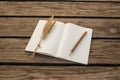 Blank notebook and wooden pencil on wooden backgro Royalty Free Stock Photo