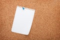 Blank notepad paper on cork wood notice board Royalty Free Stock Photo