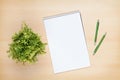 Blank notepad, pen and flower on wooden table Royalty Free Stock Photo