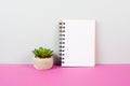 Blank notepad with a pencil on a pink and graybackground, pot with a cactus, copy space for text, office desk