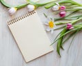 Blank notepad with place for your text, Fresh garden pink and white tulips Royalty Free Stock Photo