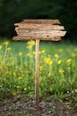 Blank wooden sign outside in spring time