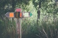 Blank old wooden sign in the woods. vintage filtered and toned Royalty Free Stock Photo