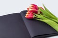Blank open black diary notebook, sketchbook decorated with spring red tulips with space for text or lettering. Concept of Royalty Free Stock Photo