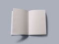 Blank open book