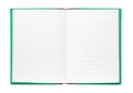 Blank open checked paper book