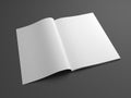 Blank open 3D illustration magazine mock up with two pages Royalty Free Stock Photo