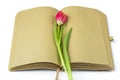 Blank open diary notebook, sketchbook decorated with spring red tulips with space for text or lettering. Concept of writing Royalty Free Stock Photo