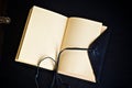 Blank open leather bound journal Royalty Free Stock Photo