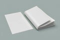 Blank open magazine and a single folded page on a plain gray background Royalty Free Stock Photo