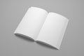 Blank opened 3D illustration of book mock-up Royalty Free Stock Photo