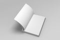Blank opened 3D illustration of book mock-up. Royalty Free Stock Photo