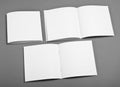 Blank opened magazine isolated on grey background with soft shad Royalty Free Stock Photo