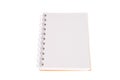 Blank opened notebook with lined papers